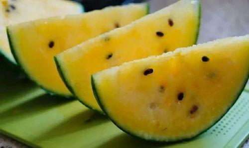 甘肃最新的瓜爆料,瓜果飘香，丰收喜讯传四方